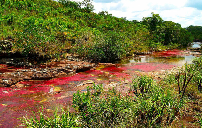 Caño Cristales River Trip