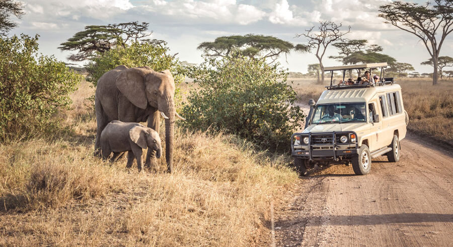 adventure-safari