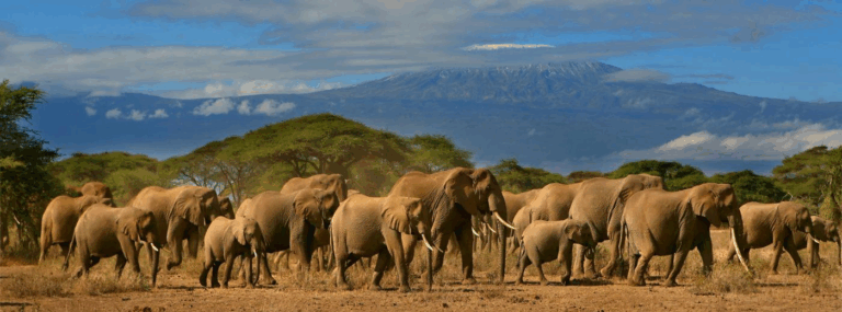 amboseli-national-park