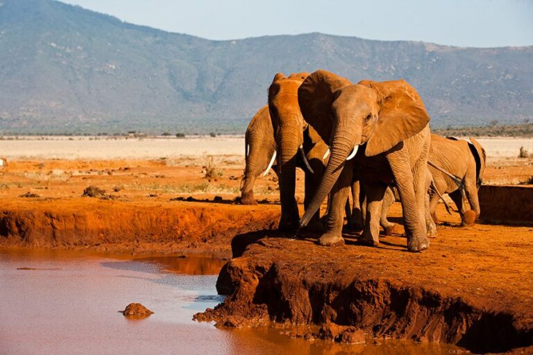 tsavo